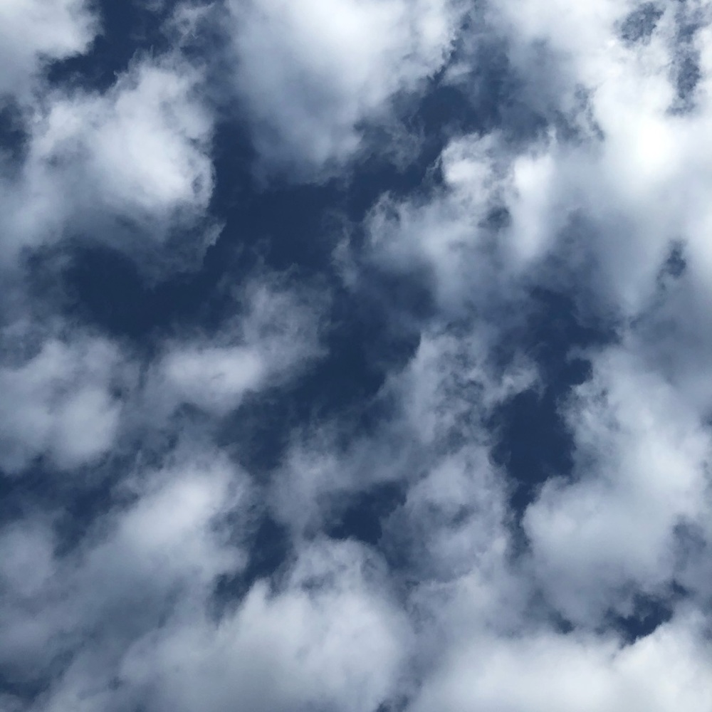 Meet your Posher, Macy